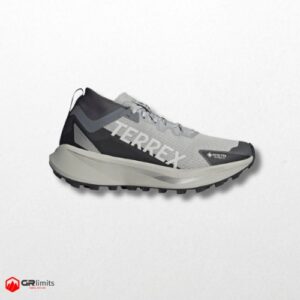Zapatillas agravic gtx grey
